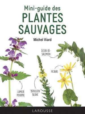 cover image of Mini-guide des plantes sauvages